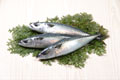 Health Designs | Fish Oil Blog
